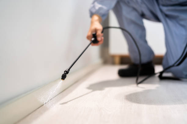 Licensed Termite Control service in Homer, LA - Nex Pest Control