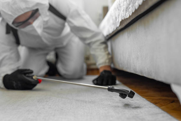 Professional Termite Control technician working in Homer, LA