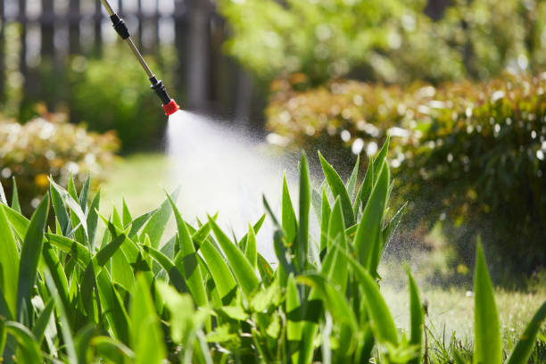 24/7 Emergency Termite Control experts in Homer, LA