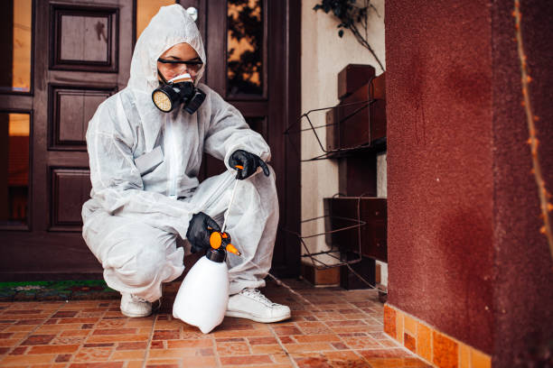 Reliable Termite Control contractor in Homer, LA by Nex Pest Control