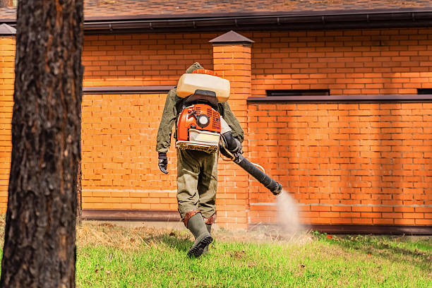 Top rated local Termite Control specialists in Homer, LA